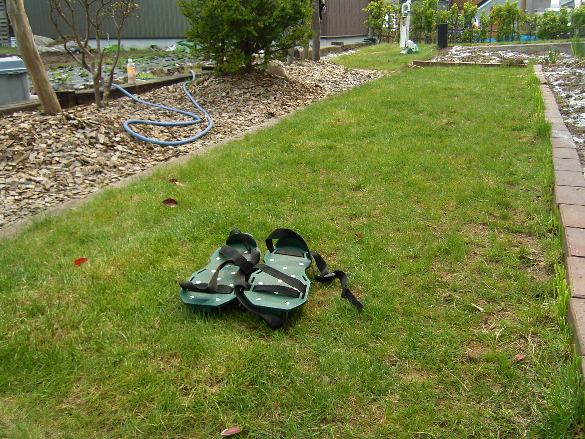 芝生が甦る ガーデンスパイク ママの家庭菜園